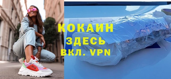 хмурый Алексин