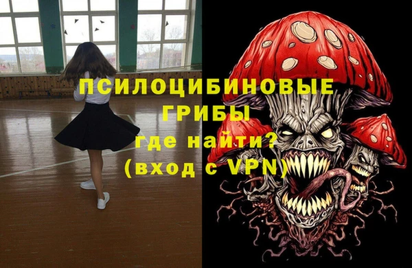 хмурый Алексин