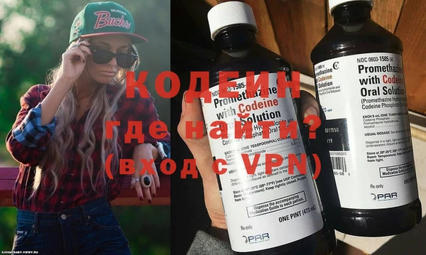 хмурый Алексин