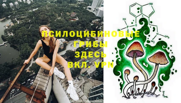 хмурый Алексин