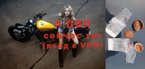 apvp Алзамай