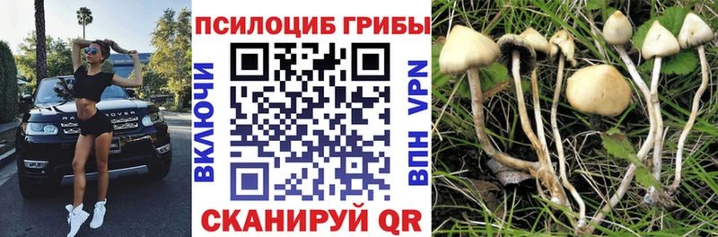 Псилоцибиновые грибы мицелий  Сортавала 